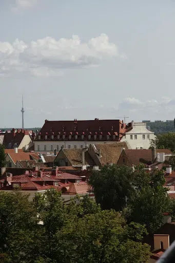 Szybki wypad na Litwę